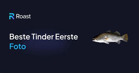 tinder profiel voorbeeld|Beste Tinder Bio Voorbeelden voor Mannen 2024。